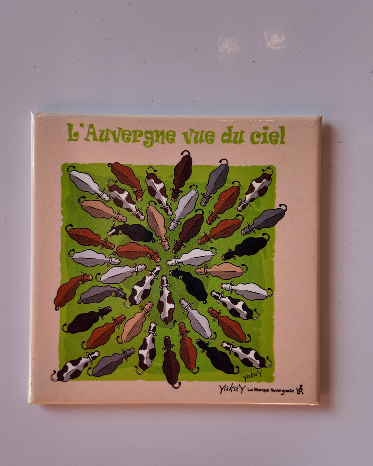 Magnet - L'Auvergne vue du ciel