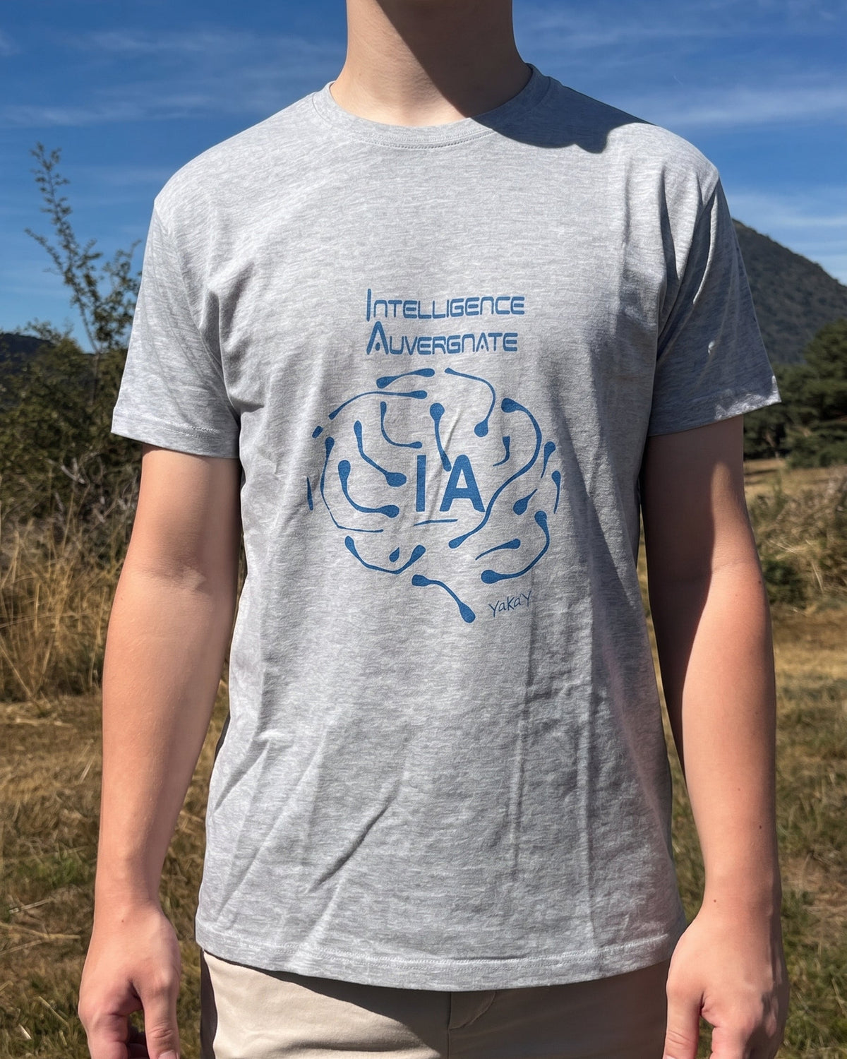 T-Shirt Intelligence Auvergnate Gris