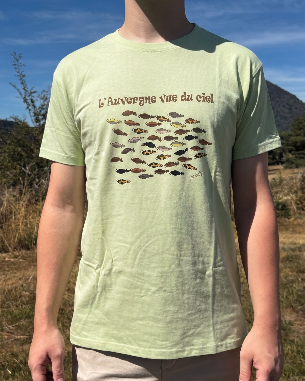 T-Shirt L'Auvergne vue du ciel Vert