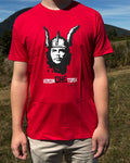 VercinCHEtorix