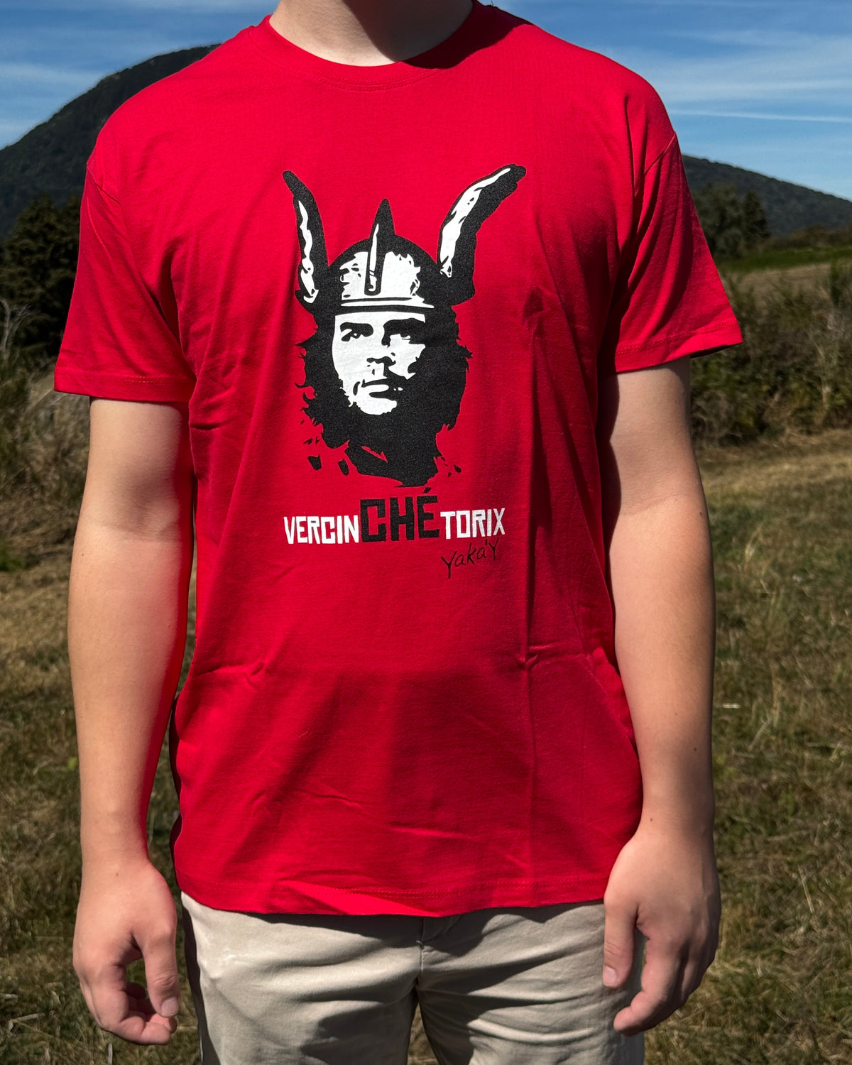 VercinCHEtorix
