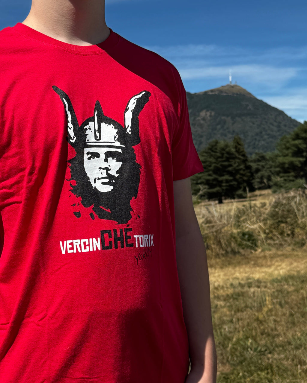 VercinCHEtorix